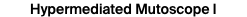 Hypermediated Mutoscope I